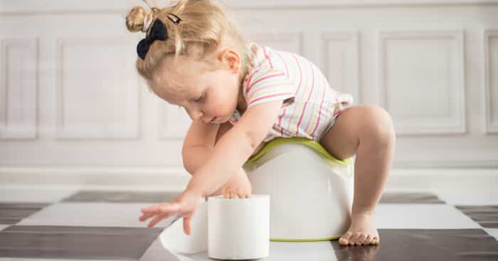 Introduction to Potty Training