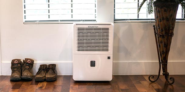 Top 5 Best Dehumidifiers for Your Family | 2019 Reviews