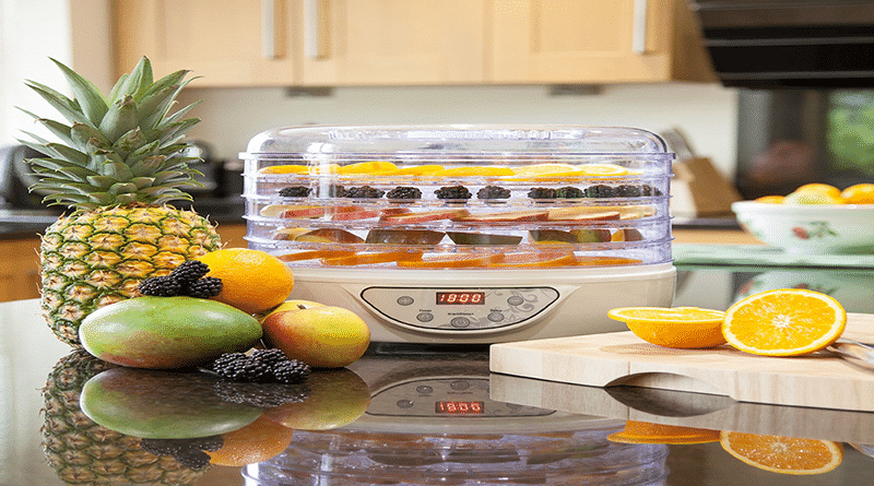 Top 5 Best Food Dehydrators for Your Family | 2020 Reviews