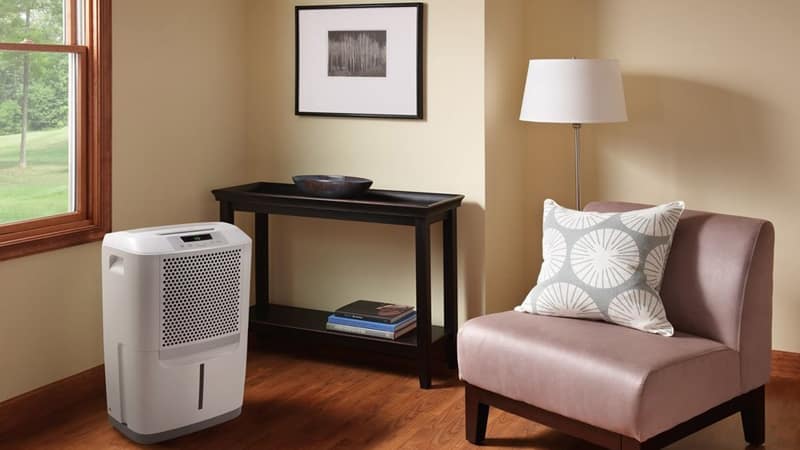 Best Dehumidifier Buying Guide