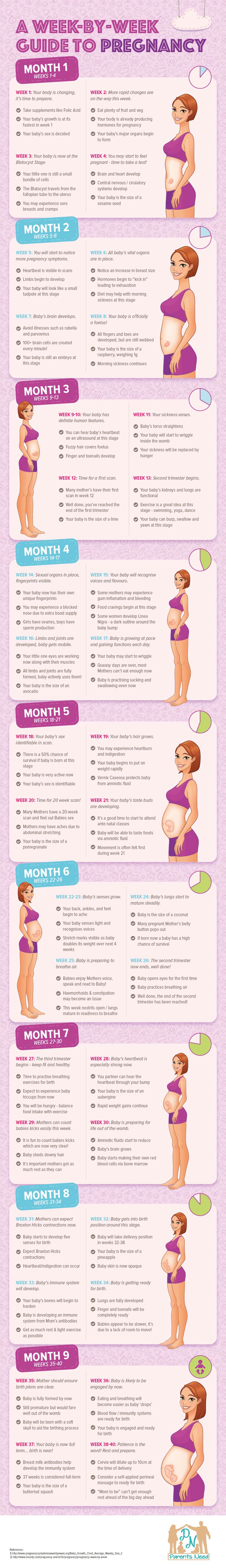 infographic-a-week-by-week-guide-to-pregnancy