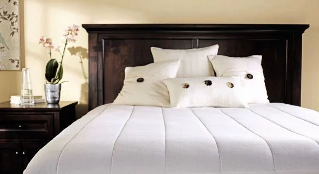 Top 5 Best Heated Bed Mattress Top 5 Best Heated Bed Mattress