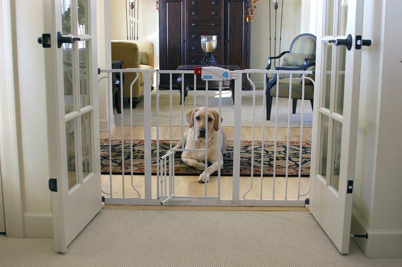 baby gate with dog flap