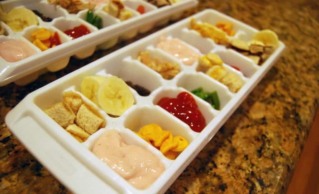 Top 5 Best Ice Cube Tray for Baby Food | 2019 Reviews